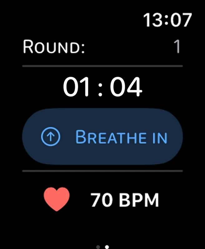 Luma Apple Watch companion app timer and haptics
